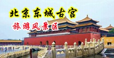 啊，鸡巴好大啊，快操我视频中国北京-东城古宫旅游风景区